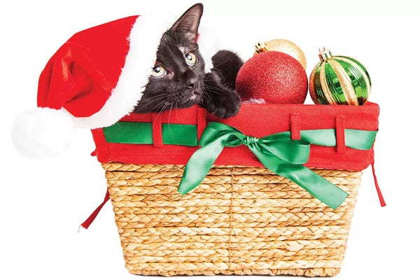 Susan Richey: Cute Kitten In Christmas Basket by Susan Richey