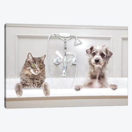 Dog And Cat In Bathtub Together Canvas Print #SMZ63} by Susan Richey Canvas Artwork