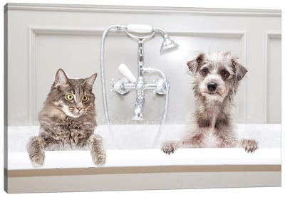 Dog And Cat In Bathtub Together Canvas Art Print - Bathroom Humor Art