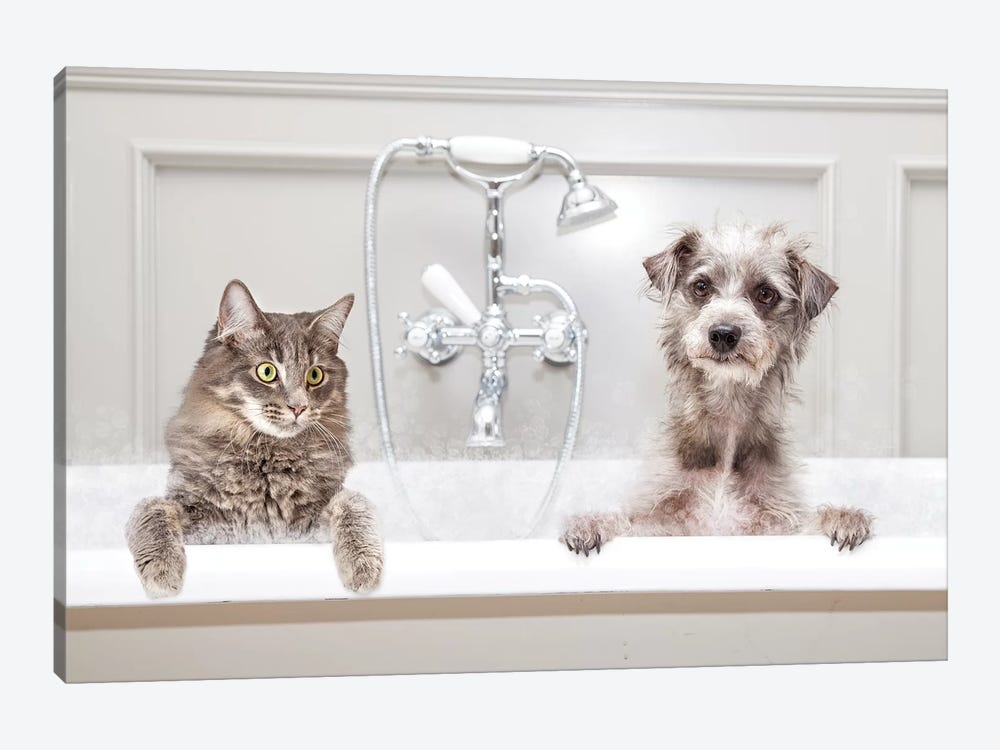 Dog And Cat In Bathtub Together by Susan Richey 1-piece Canvas Print