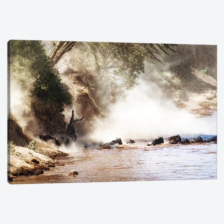 Dramatic Wildebeest Migration River Crossing Canvas Print #SMZ66} by Susan Schmitz Art Print