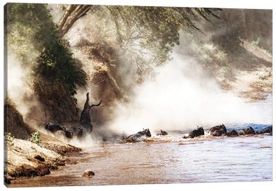 Dramatic Wildebeest Migration River Crossing Canvas Art Print - Susan Richey