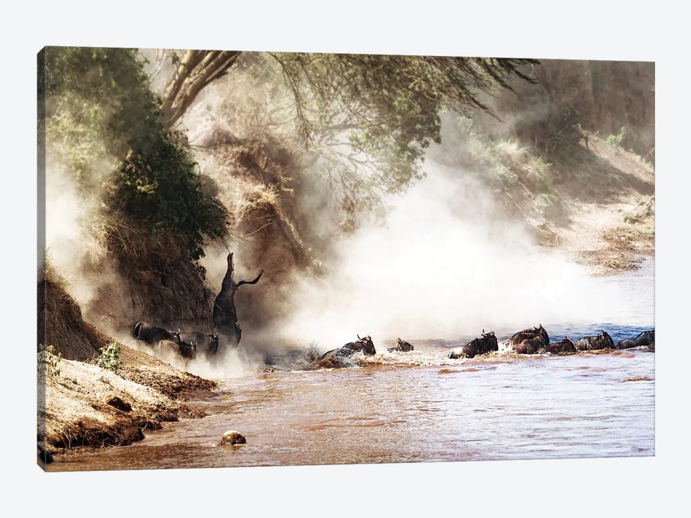 Dramatic Wildebeest Migration River Crossing by Susan Richey 1-piece Canvas Art