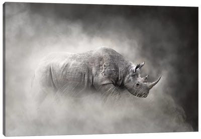 Endangered Black Rhino In The Dust Canvas Art Print - Susan Schmitz