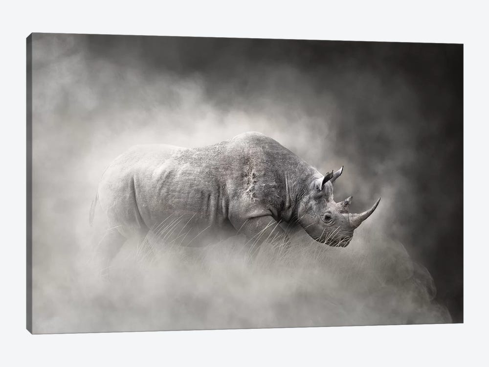 Endangered Black Rhino In The Dust by Susan Richey 1-piece Canvas Wall Art
