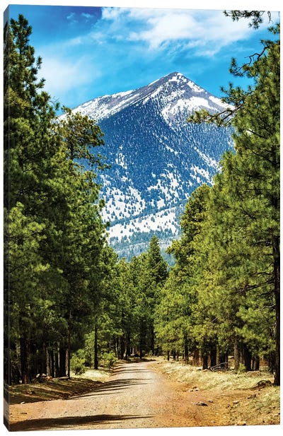 Flagstaff Arizona Road To Mountains Canvas Art Print - Susan Richey