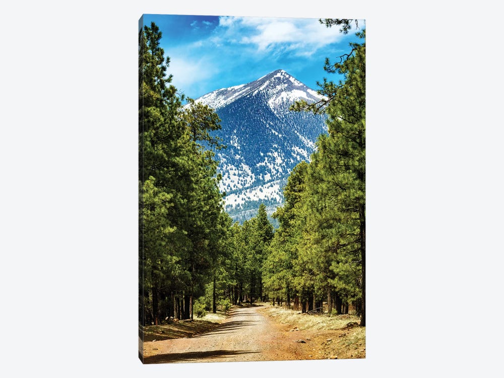 Flagstaff Arizona Road To Mountains by Susan Richey 1-piece Canvas Print