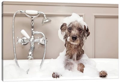 Funny Dog Taking Bubble Bath Canvas Art Print - Bathroom Humor Art