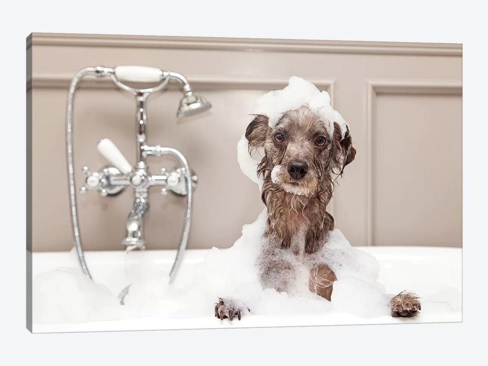 Funny Dog Taking Bubble Bath by Susan Richey 1-piece Canvas Art Print