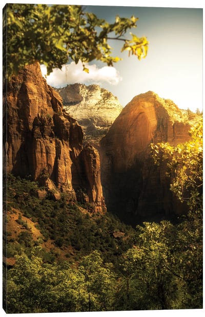 Golden Sunrise In Zion Canyon National Park Canvas Art Print - Zion National Park Art