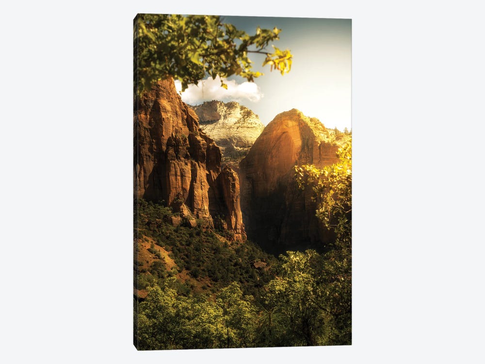 Golden Sunrise In Zion Canyon National Park by Susan Richey 1-piece Canvas Wall Art