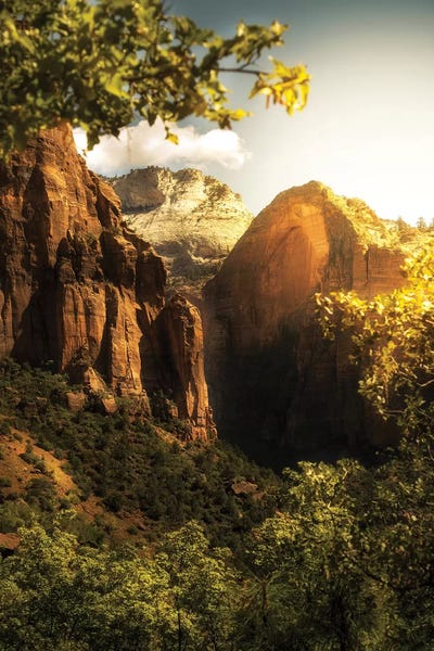 Susan Richey: Golden Sunrise In Zion Canyon National Park by Susan Richey