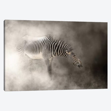 Grevys Zebra In The Dust Canvas Print #SMZ78} by Susan Richey Canvas Print