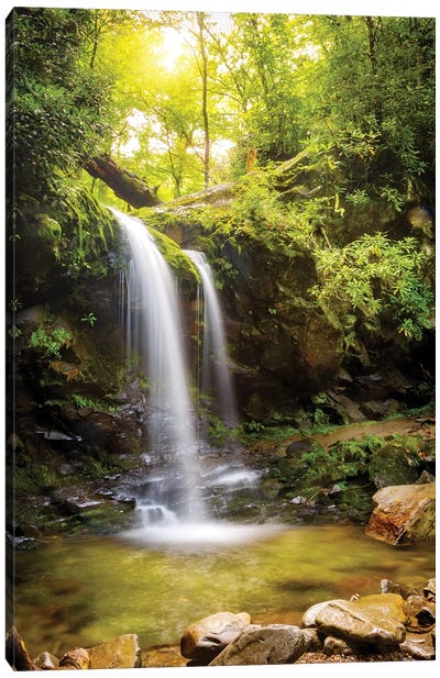 Grotto Falls In Smoky Mountain National Park Canvas Art Print - Tennessee Art