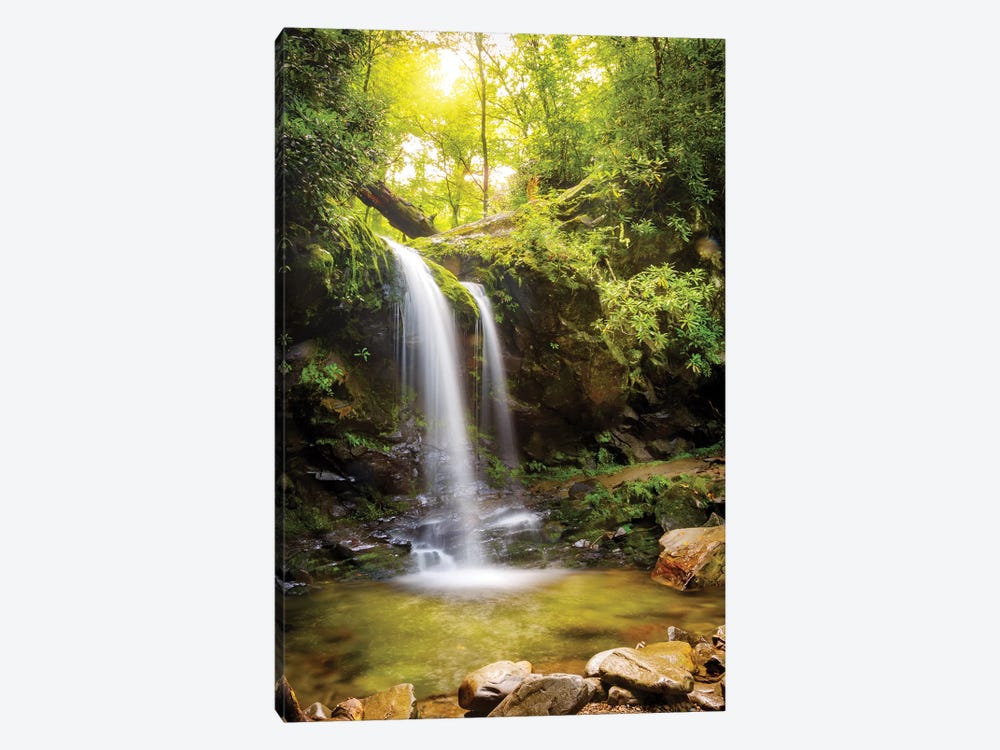 Grotto Falls In Smoky Mountain National Park by Susan Richey 1-piece Canvas Wall Art