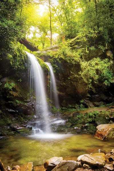 Large Photography - Canvas Prints: Grotto Falls In Smoky Mountain National Park by Susan Richey