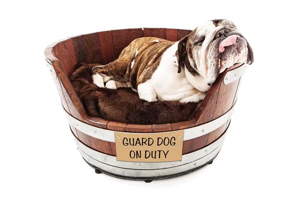 Guard Dog Sleeping On The Job
