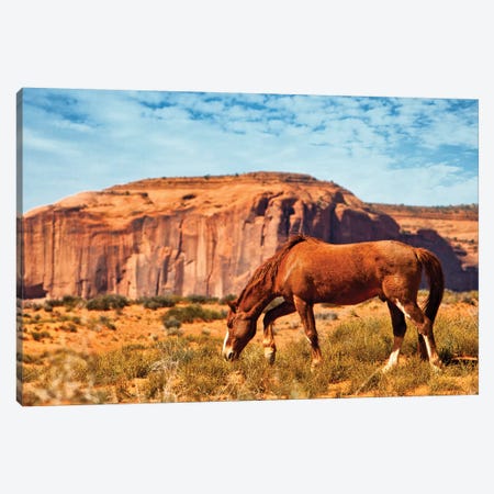 Horse In Utah Desert Canvas Print #SMZ83} by Susan Schmitz Canvas Wall Art