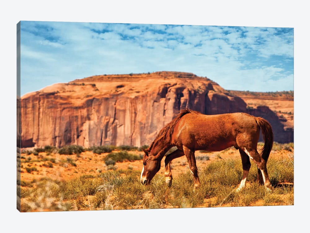 Horse In Utah Desert by Susan Richey 1-piece Canvas Art Print