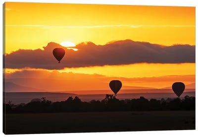 Hot Air Balloons In Surise Orange Africa Sky Canvas Art Print - Susan Richey