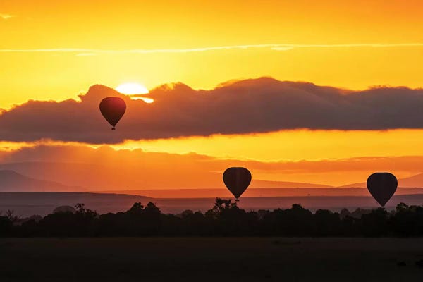Hot Air Balloons: Hot Air Balloons In Surise Orange Africa Sky by Susan Richey