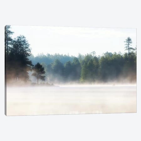 Misty Morning Lake At Sunrise Canvas Print #SMZ99} by Susan Richey Art Print
