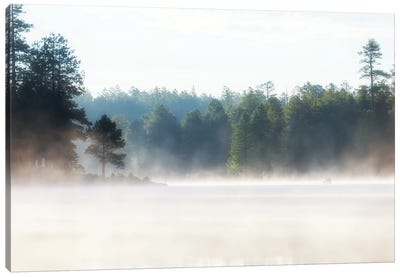 Misty Morning Lake At Sunrise Canvas Art Print