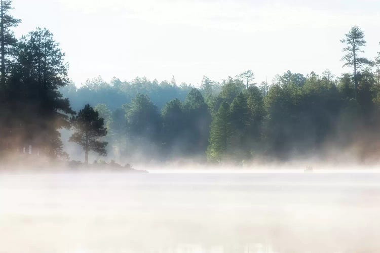 Misty Morning Lake At Sunrise