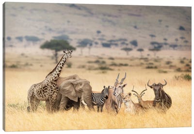African Safari Animals In Dreamy Kenya Scene Canvas Art Print - Field, Grassland & Meadow Art