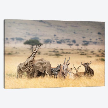 African Safari Animals In Dreamy Kenya Scene Canvas Print #SMZ9} by Susan Schmitz Canvas Artwork
