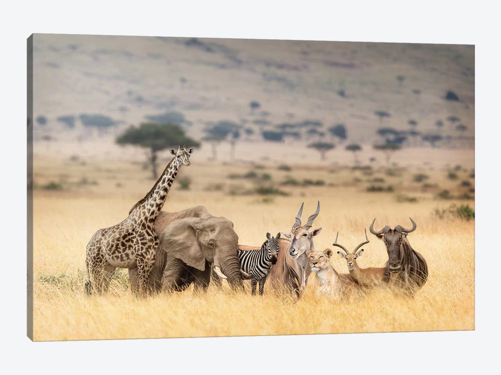 African Safari Animals In Dreamy Kenya Scene by Susan Richey 1-piece Canvas Print
