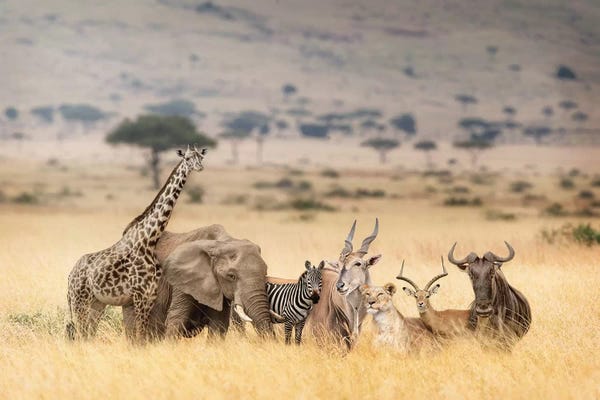 Kenya