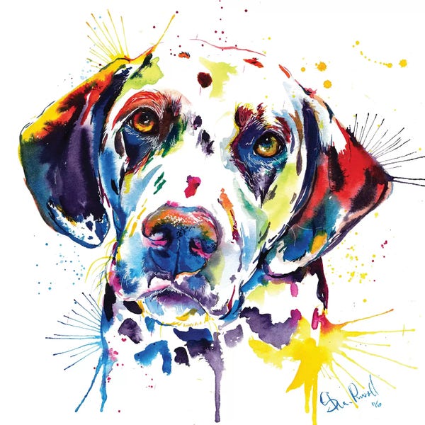 Weekday Best: Dalmatian by Weekday Best