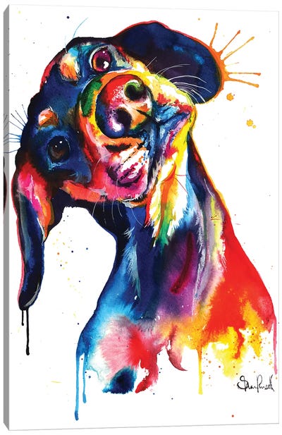 Dachshund Canvas Art Print - Large Colorful Accents