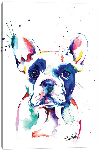 Frenchie I Canvas Art Print - French Bulldog Art