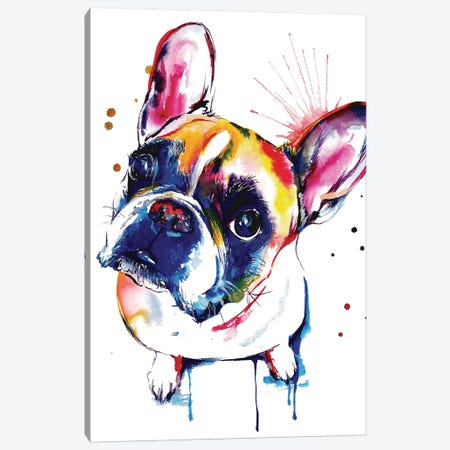 Frenchie II Canvas Print #SNA16} by Weekday Best Canvas Print