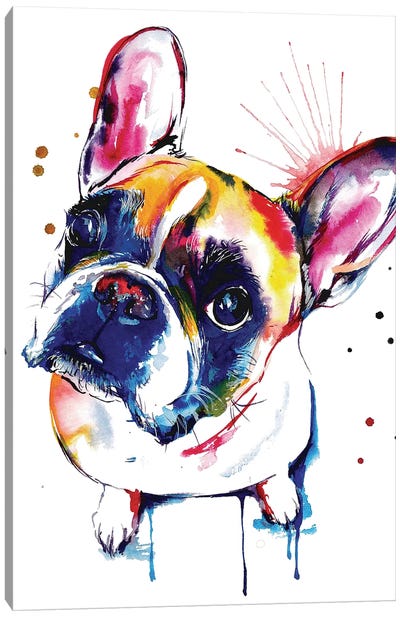 Frenchie II Canvas Art Print - French Bulldog Art
