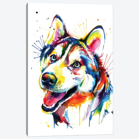 Husky Canvas Print #SNA17} by Weekday Best Canvas Print