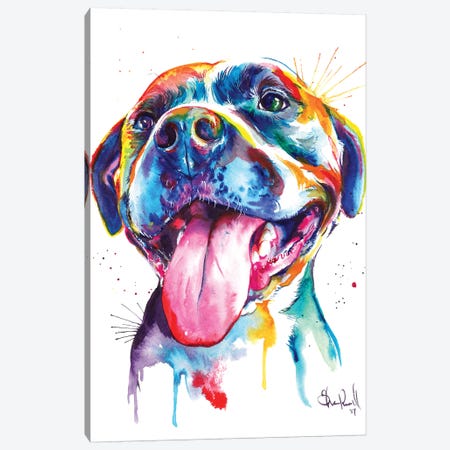 Pitbull Canvas Print #SNA19} by Weekday Best Canvas Art
