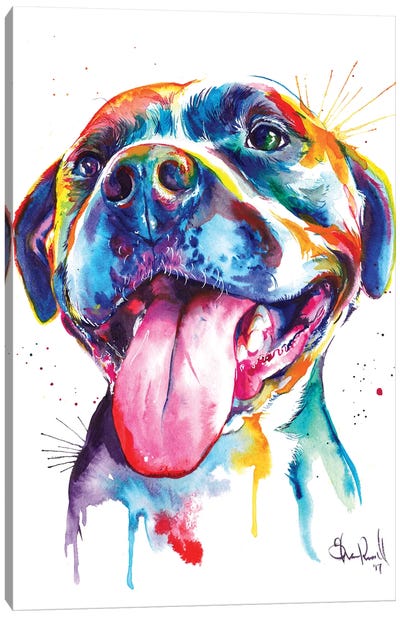Pitbull Canvas Art Print - Large Colorful Accents