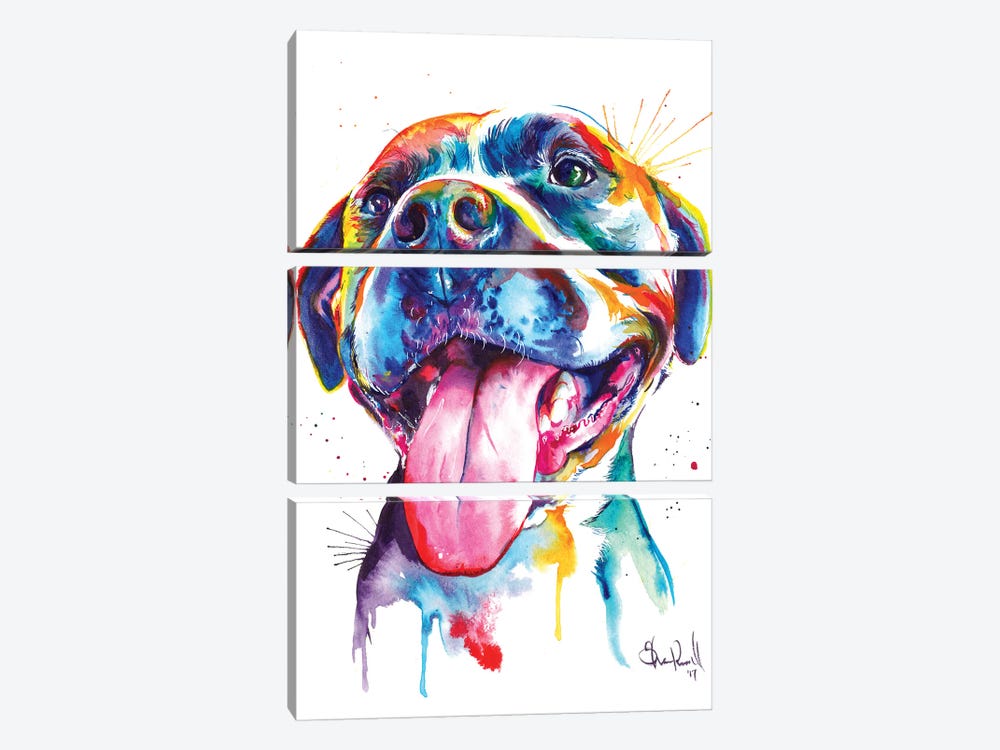 Pitbull by Weekday Best 3-piece Canvas Wall Art