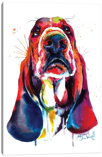 Basset Canvas Art Print - Dog Art