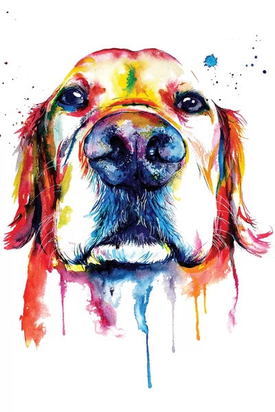 Kids Animal Art: Retriever by Weekday Best