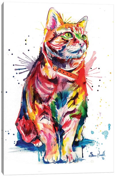 Tabby Canvas Art Print - Large Colorful Accents