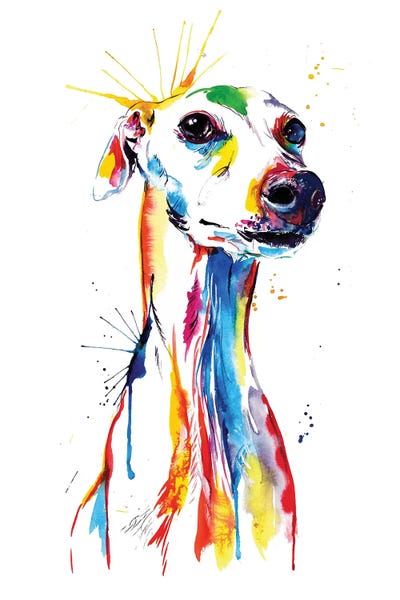 Dogs: Whippet Good by Weekday Best