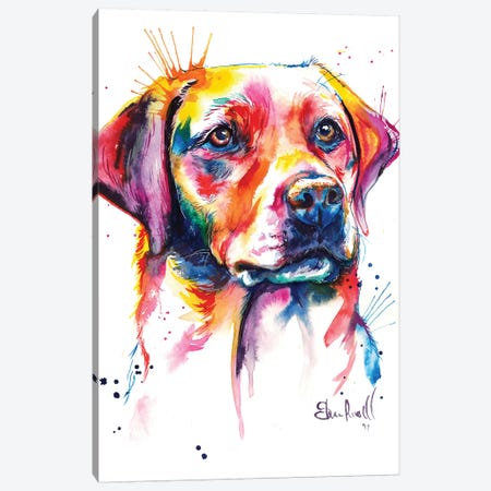 Yellow Lab I Canvas Print #SNA26} by Weekday Best Canvas Art