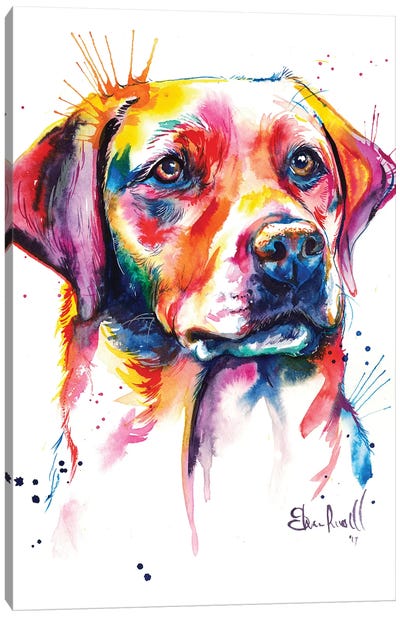 Yellow Lab I Canvas Art Print - Labrador Retriever Art