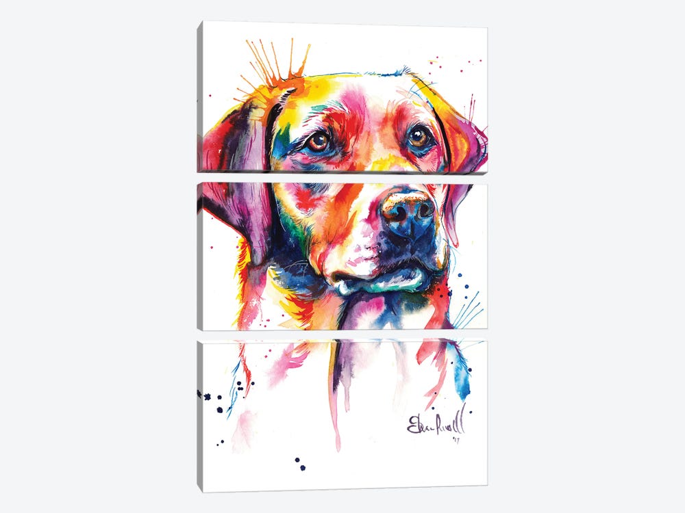 Yellow Lab I by Weekday Best 3-piece Canvas Wall Art