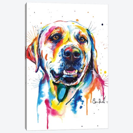 Yellow Lab II Canvas Print #SNA27} by Weekday Best Canvas Art