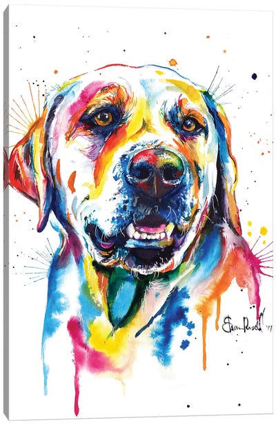 Yellow Lab II Canvas Art Print - Labrador Retriever Art